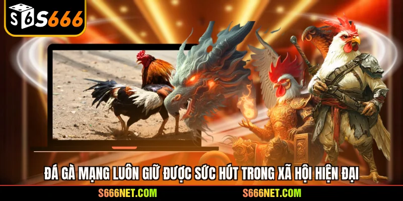 Đá gà mạng luôn giữ được sức hút trong xã hội hiện đại